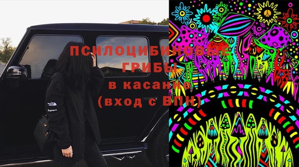 apvp Горнозаводск