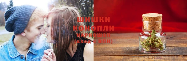 apvp Горнозаводск