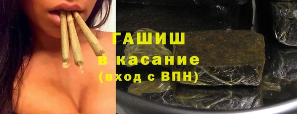 ПСИЛОЦИБИНОВЫЕ ГРИБЫ Горно-Алтайск