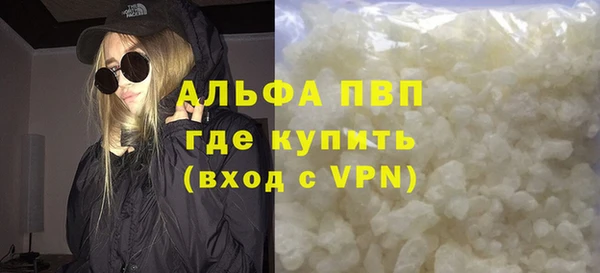 ПСИЛОЦИБИНОВЫЕ ГРИБЫ Горно-Алтайск