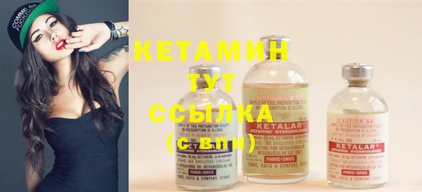 ПСИЛОЦИБИНОВЫЕ ГРИБЫ Горно-Алтайск