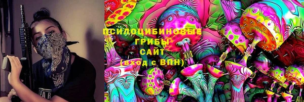 apvp Горнозаводск