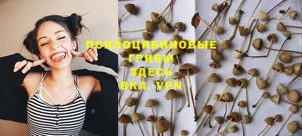 ПСИЛОЦИБИНОВЫЕ ГРИБЫ Горно-Алтайск