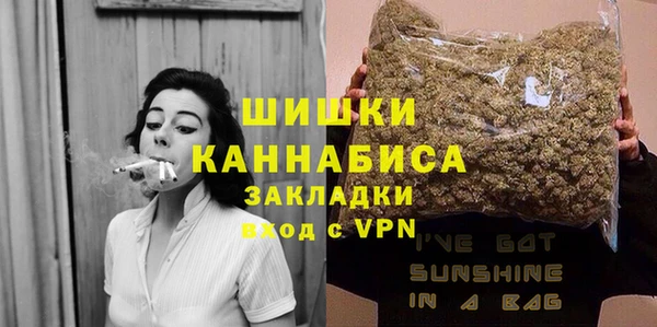 PSILOCYBIN Гусев