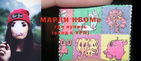 ПСИЛОЦИБИНОВЫЕ ГРИБЫ Горно-Алтайск